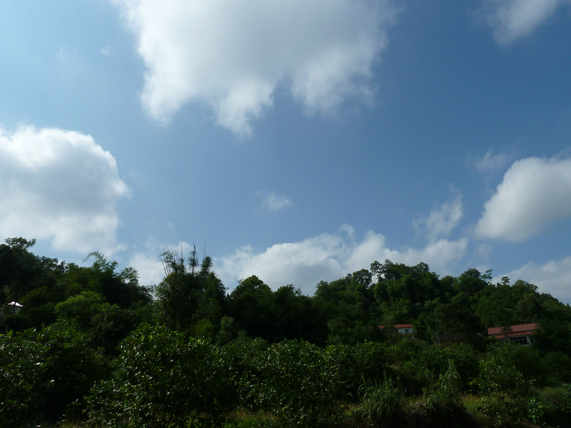 P1030255.JPG