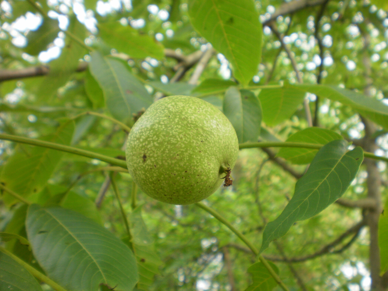 P3100582.JPG