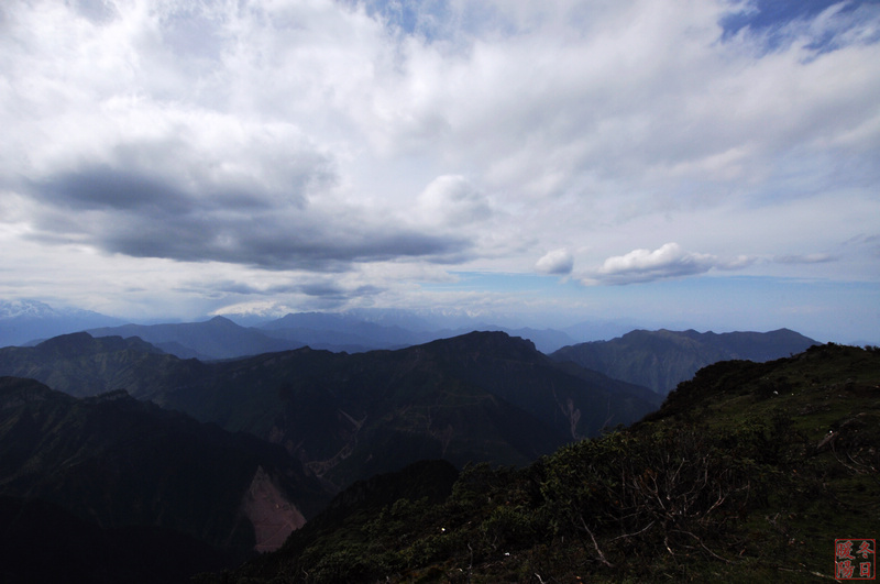 DSC_0203.jpg