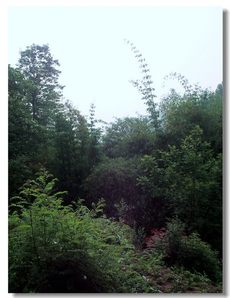 PICT1043.JPG