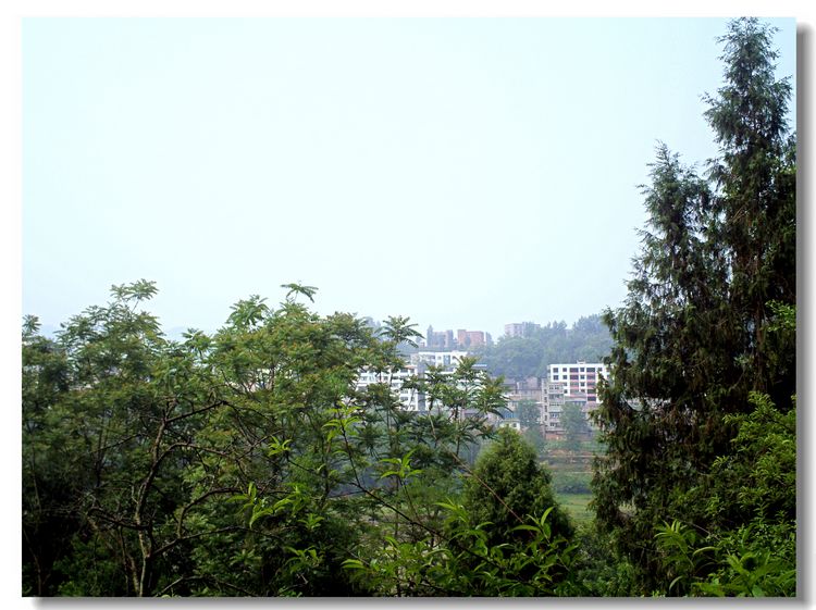 PICT1065.JPG
