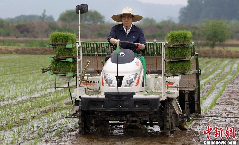 韩国总统李明博居然亲自开拖拉机下农田干活,图鉴!