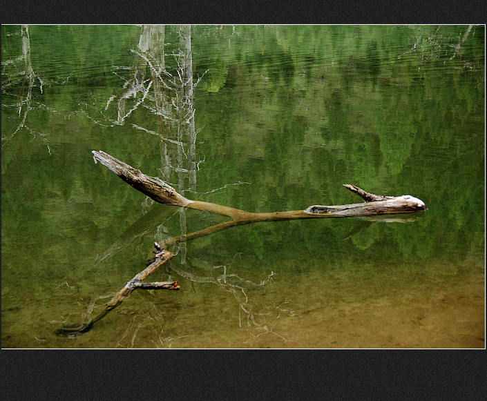 DSC_0665.jpg