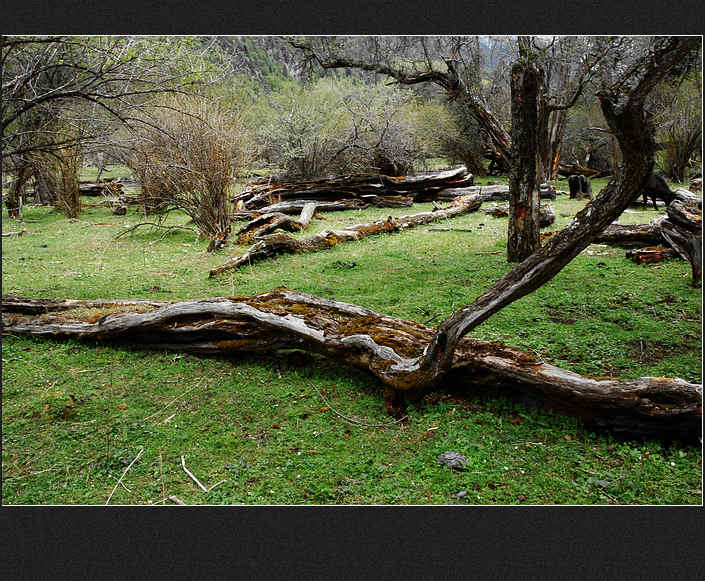 DSC_0878.jpg