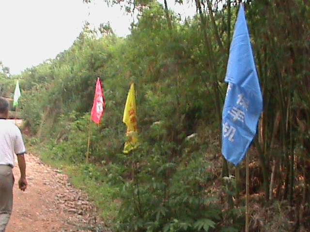 DSC02608.JPG