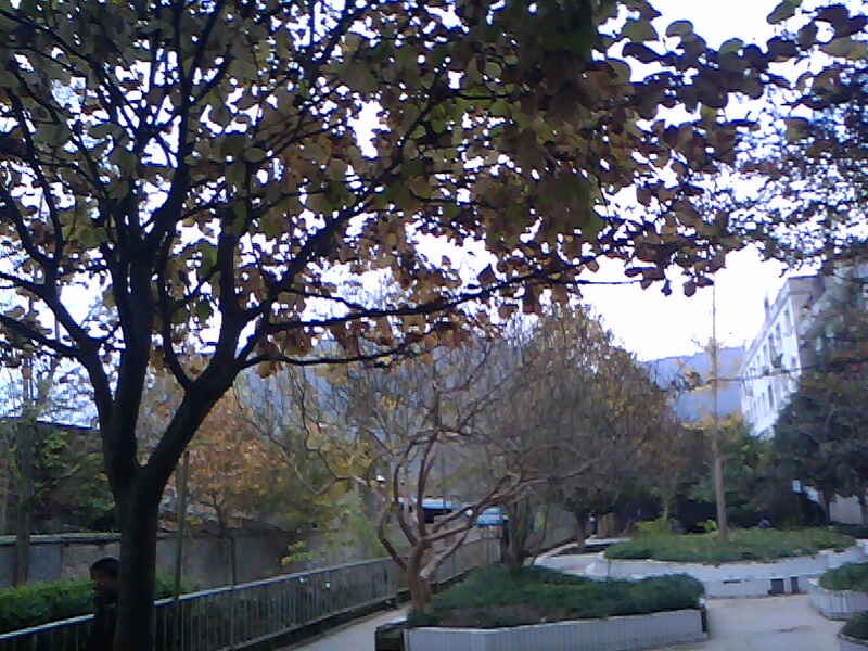 IMG1693A.jpg