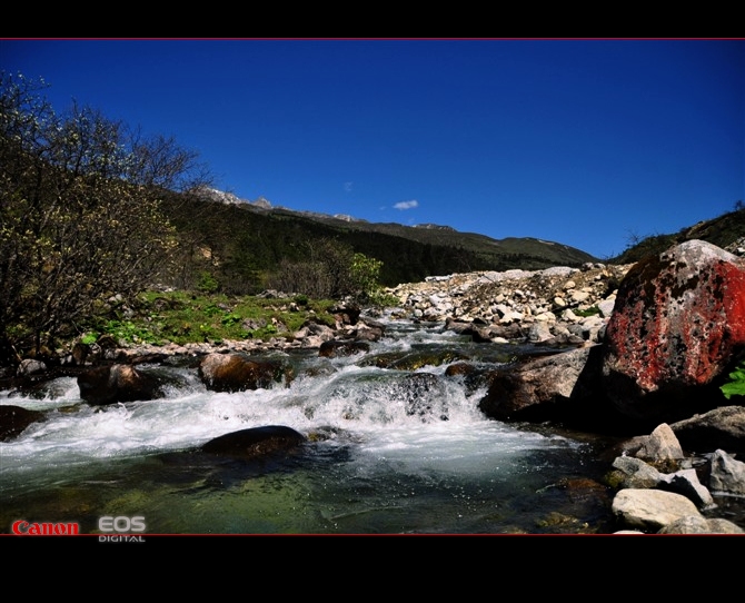1203286ykhaius6uyt2iku[1].jpg