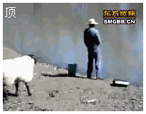 1306633680931.gif