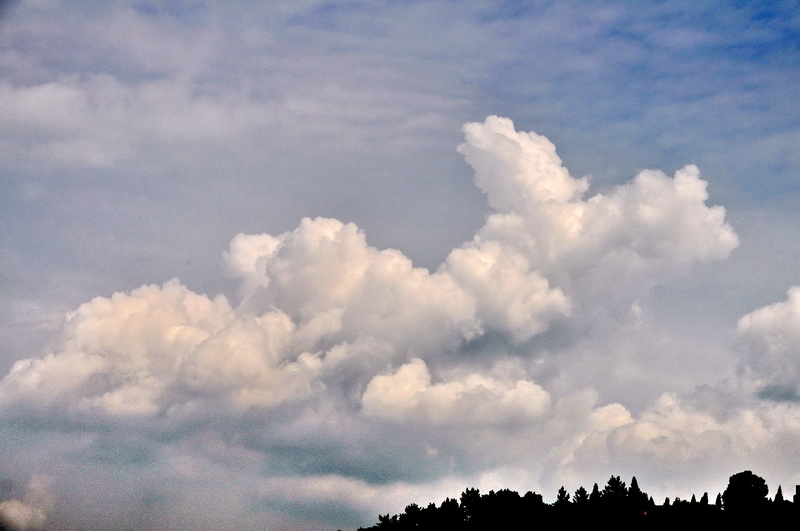 DSC_0019_С.jpg