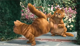 èڰ.gif