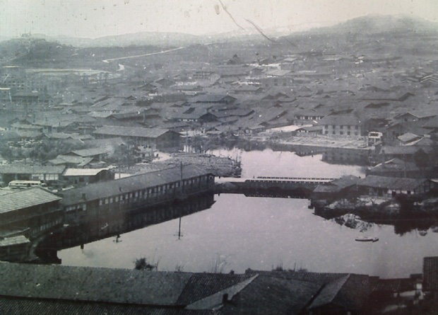 0822616325848021.jpg