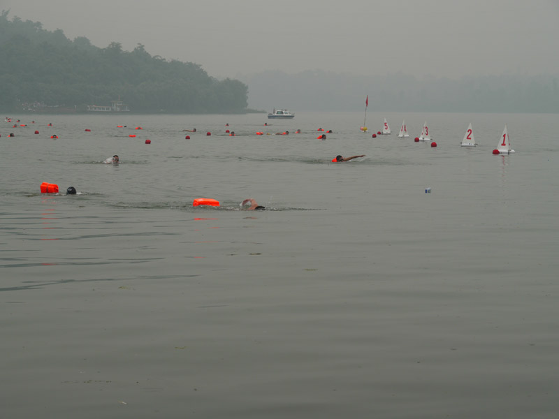 P1020588.jpg
