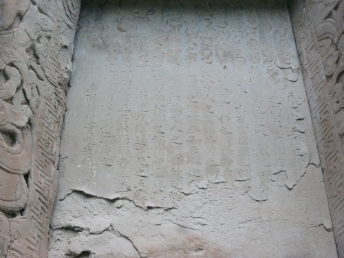 ALIM1442_conew1.jpg