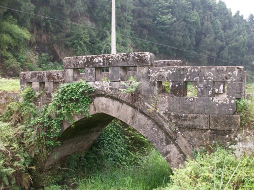 ALIM1439_conew1.jpg