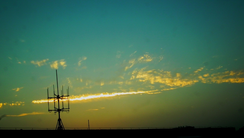 DSCF7791.jpg