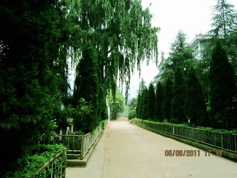 img_0099_.jpg
