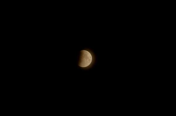 DSC_1571.JPG