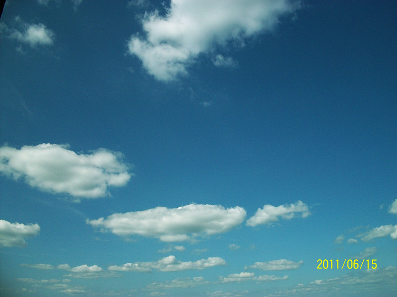 100_3042_.jpg