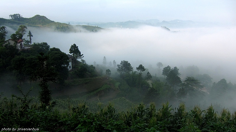 IMG_2481yunwu.jpg