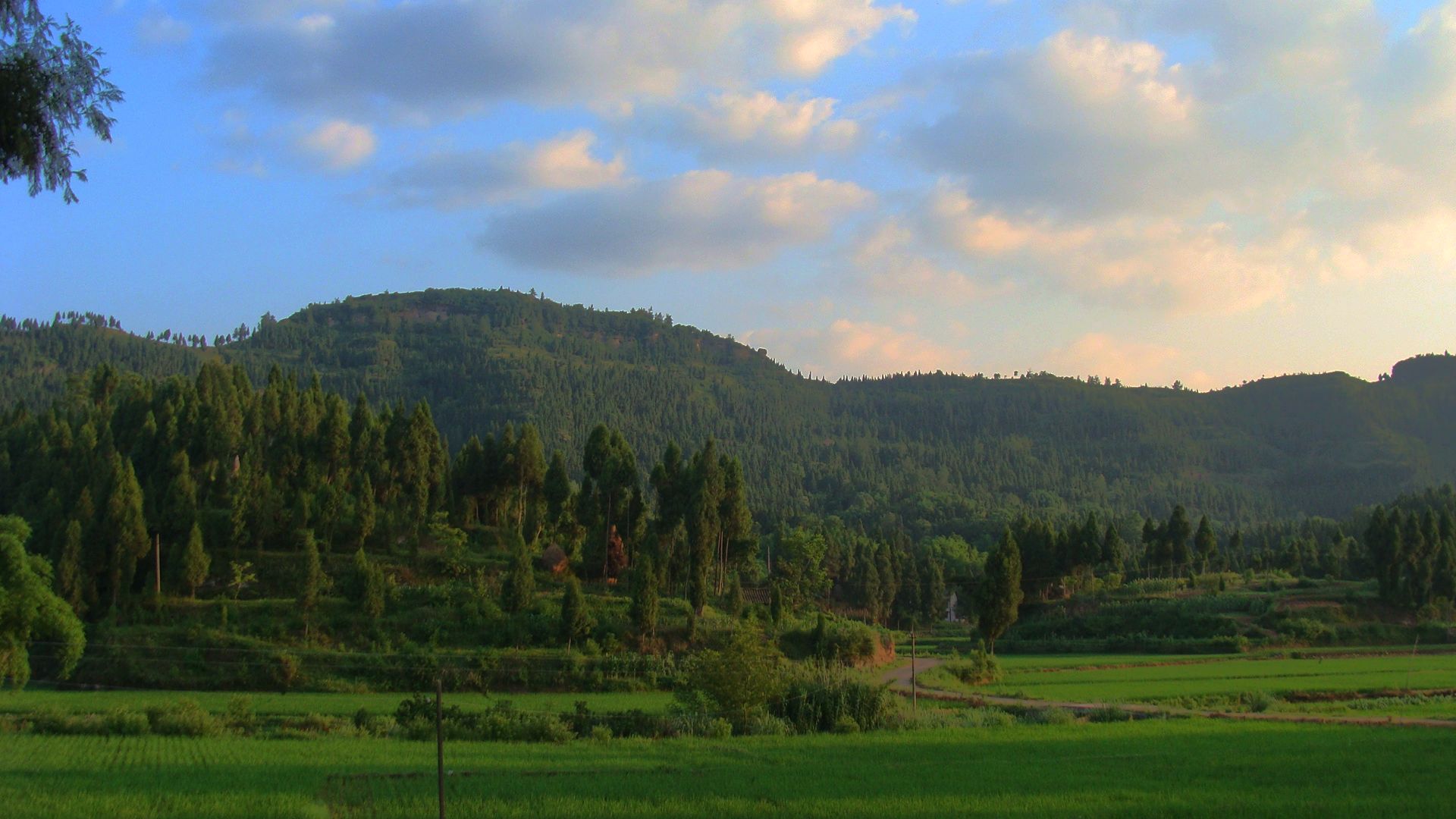 DSC04881_Ӱ_1.jpg
