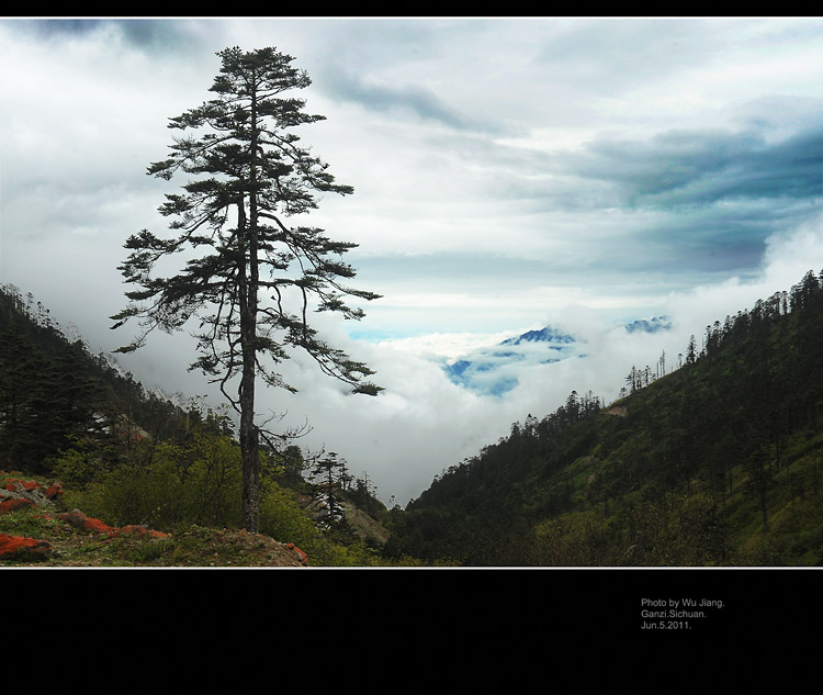 DSC_3504-2.jpg
