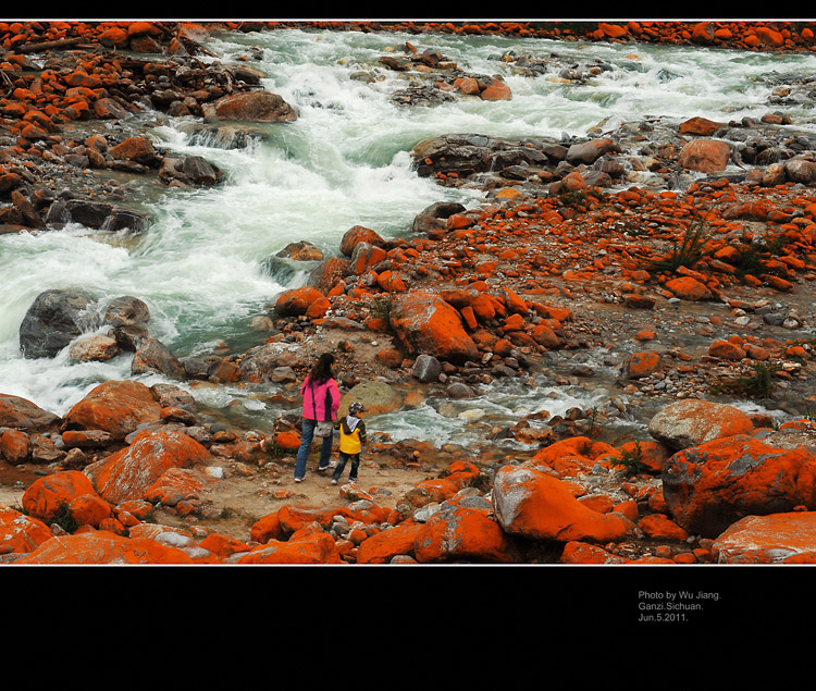 DSC_3598-2.jpg