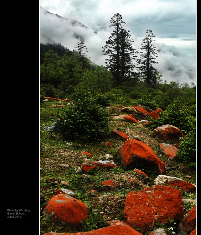 DSC_3585-2.jpg