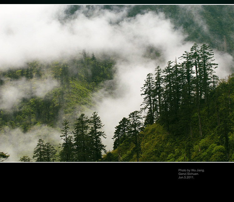 DSC_0311-2.jpg