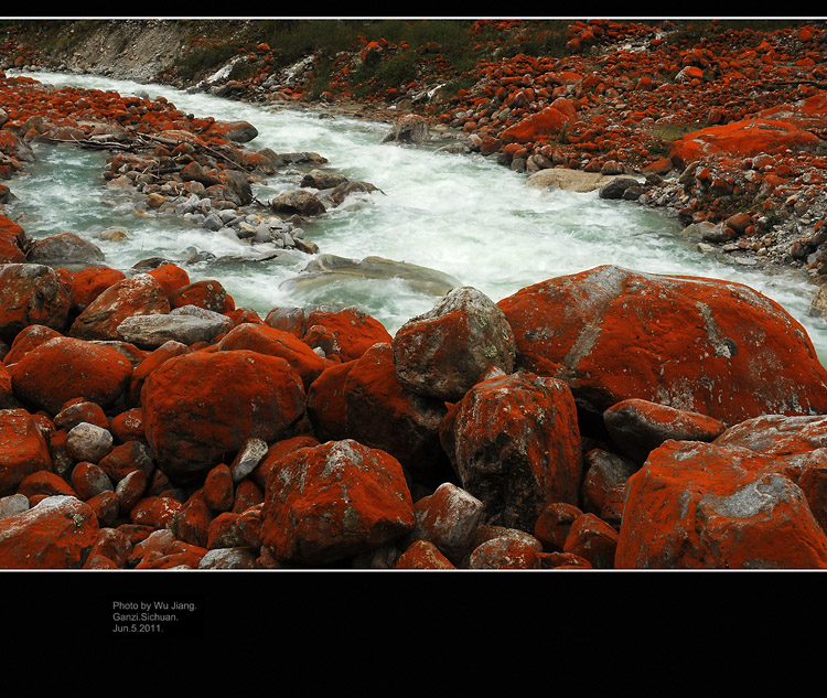 DSC_3617-2.jpg