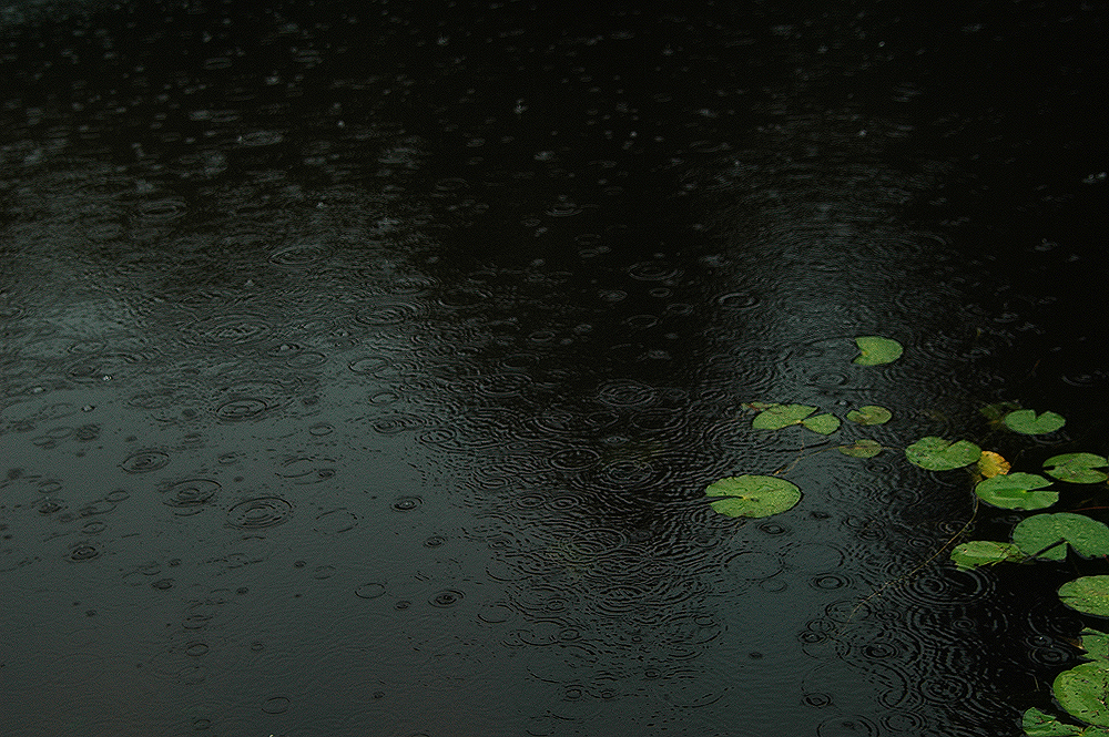 孤寂的雨