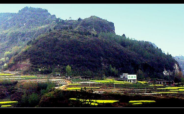 PICT0219.jpg