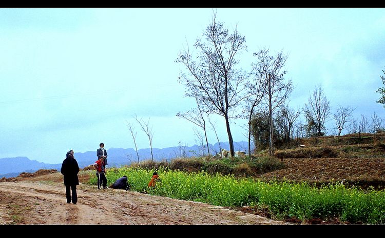 PICT0214.JPG