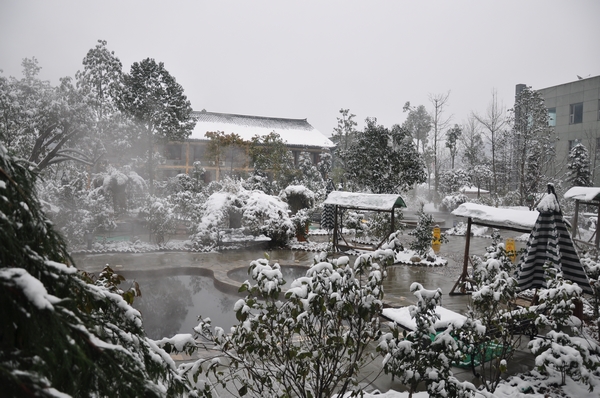 DSC_0196.jpg