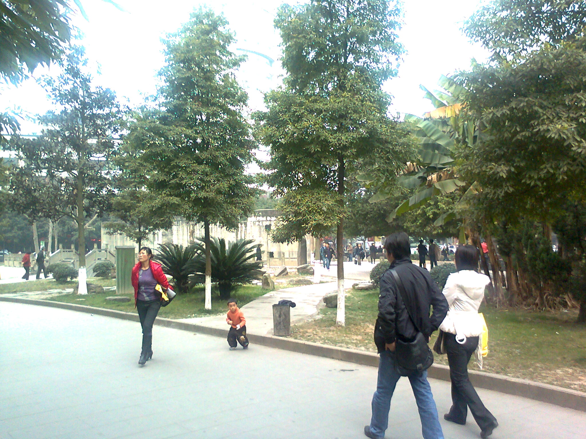 ֻƬ 082.jpg