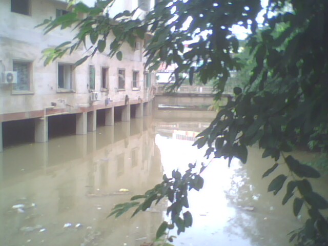 IMG0005A.jpg