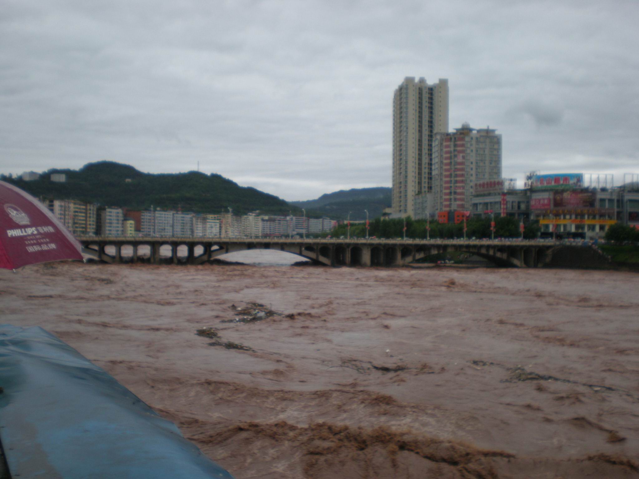 巴河特大洪水,图组