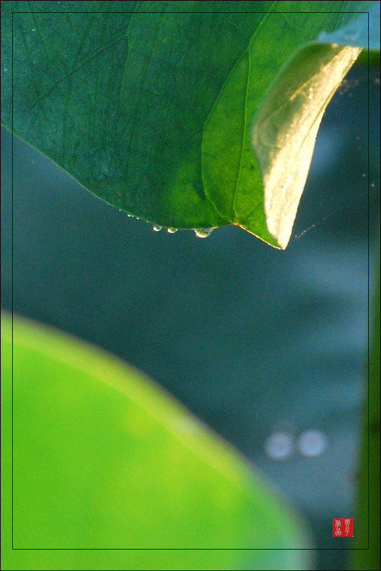 DSC_2031_.jpg
