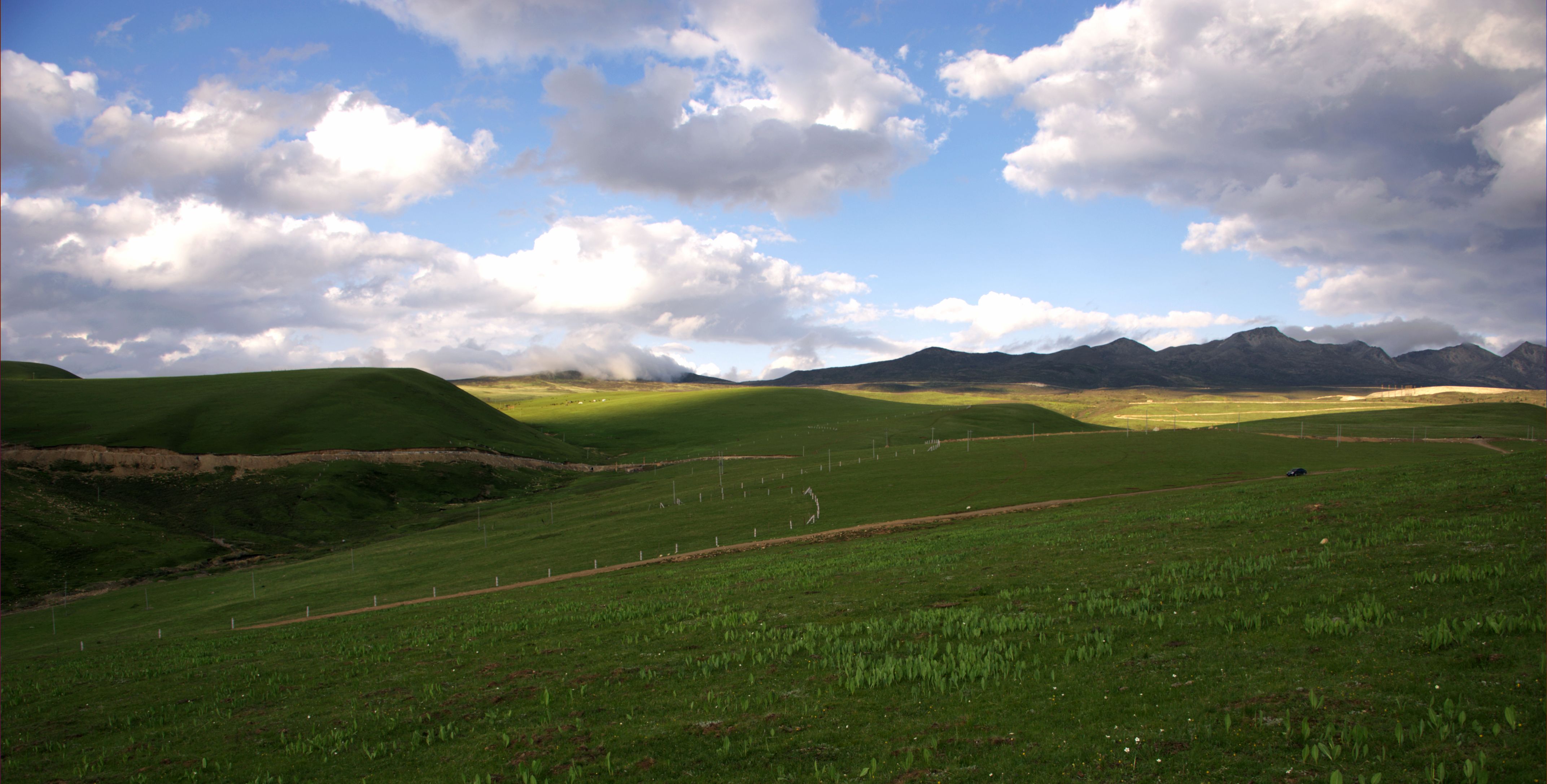DSC_2892.jpg