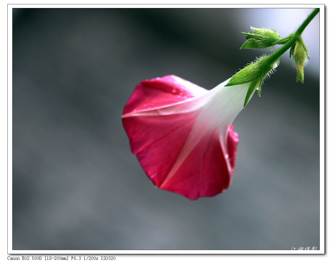 Ƭ 018.jpg