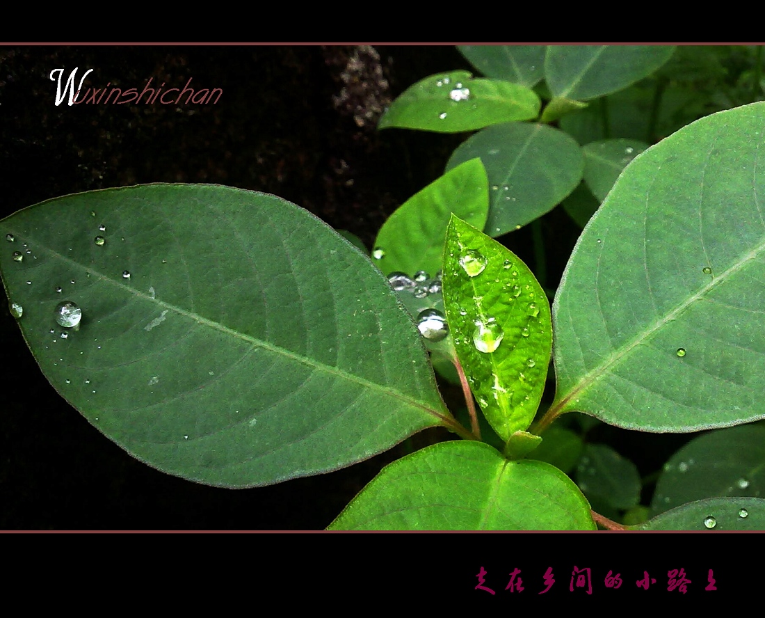 20110717783.jpg