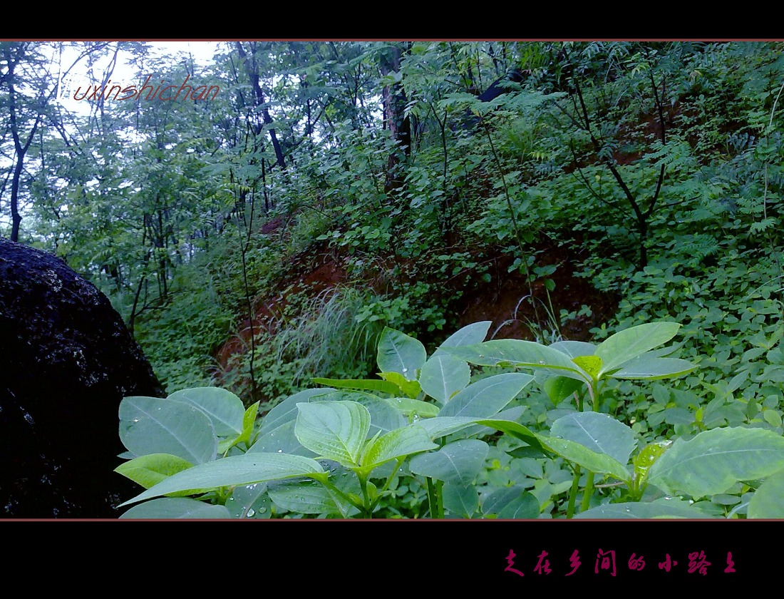 20110717786.jpg