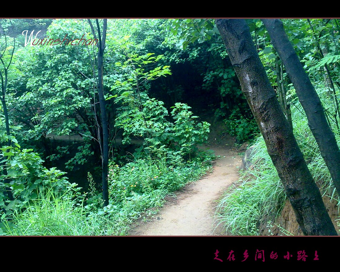 20110717799.jpg