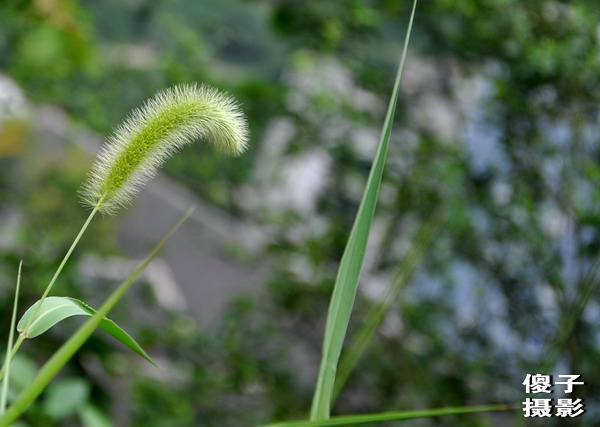 DSC_0076.jpg