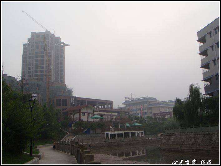nEO_IMG_DSC07013.jpg
