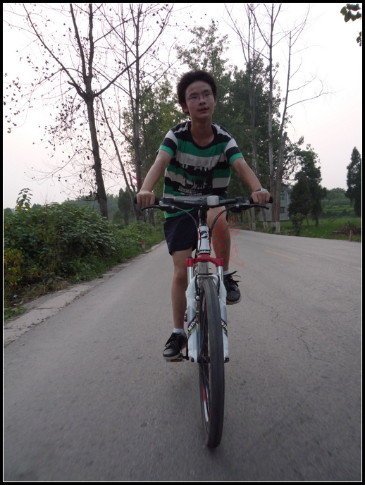 P1110234.jpg