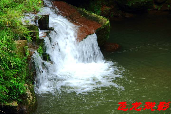 IMG_1732.JPG