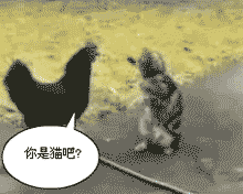 eb809d0784baeee9d53f7c85.gif