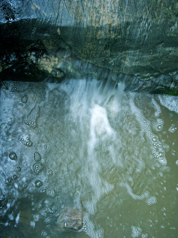 IMGP4817.JPG