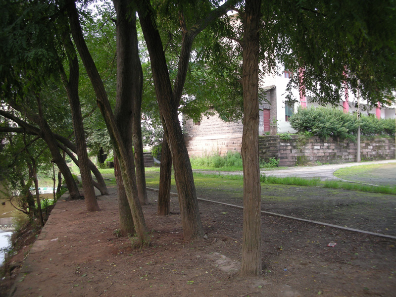 DSCN9846.jpg