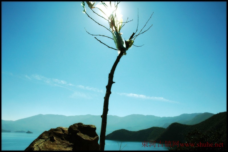 ӹӰ֮_0070.jpg